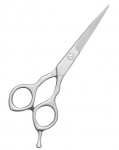 Barber Scissors